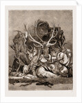 The Wild Game Of America, 1876 by Anonymous