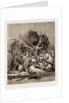 The Wild Game Of America, 1876 by Anonymous