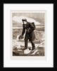 The American Centennial Exhibition: The Modern Gulliver And The City Of Paris, US by Anonymous