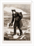 The American Centennial Exhibition: The Modern Gulliver And The City Of Paris, US by Anonymous