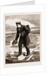 The American Centennial Exhibition: The Modern Gulliver And The City Of Paris, US by Anonymous