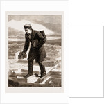 The American Centennial Exhibition: The Modern Gulliver And The City Of Paris, US by Anonymous