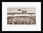 Remains Of The British Military Cemetery At Tientsin, Peiho River by Anonymous