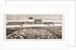 Remains Of The British Military Cemetery At Tientsin, Peiho River by Anonymous