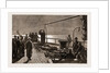 Deck Passengers: A Moonlight Sketch On The Forecastle, 1876 by Anonymous