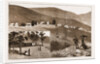 The Restoration Of Cetewayo by Anonymous