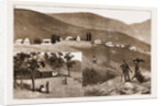 The Restoration Of Cetewayo by Anonymous