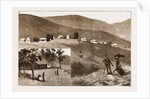 The Restoration Of Cetewayo by Anonymous