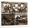 The Small Pox Epidemic At Cape Town: Sketches At The Temporary Hospital At renzskie's Farm, South Africa by Anonymous