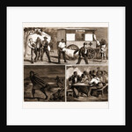 The Small Pox Epidemic At Cape Town: Sketches At The Temporary Hospital At renzskie's Farm, South Africa by Anonymous