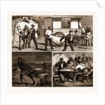 The Small Pox Epidemic At Cape Town: Sketches At The Temporary Hospital At renzskie's Farm, South Africa by Anonymous
