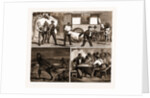 The Small Pox Epidemic At Cape Town: Sketches At The Temporary Hospital At renzskie's Farm, South Africa by Anonymous