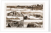 The New Electric Tramway Between Portrush And Bushmills, Ulster by Anonymous