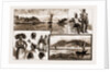 The Madagascar Difficulty, Sketches At Majunga Bay by Anonymous