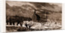 The Disastrous Floods In Austria-hungary: A Flooded Churchyard At Raab, Austria by Anonymous