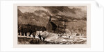 The Disastrous Floods In Austria-hungary: A Flooded Churchyard At Raab, Austria by Anonymous