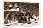 Moose-creeping In Nova Scotia, 1883 by Anonymous