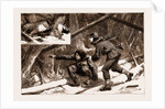 Moose-creeping In Nova Scotia, 1883 by Anonymous