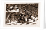 Moose-creeping In Nova Scotia, 1883 by Anonymous