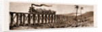 Carrying Sugar Cane On The Pioneer Plantation, Mackay by Anonymous