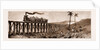Carrying Sugar Cane On The Pioneer Plantation, Mackay by Anonymous