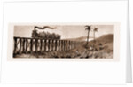 Carrying Sugar Cane On The Pioneer Plantation, Mackay by Anonymous