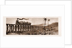 Carrying Sugar Cane On The Pioneer Plantation, Mackay by Anonymous