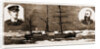 The Danish Nort-polar Expedition: The djimphna, 1883; Lieutenant Hovgaard by Anonymous