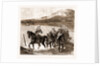 The Restoration Of Cetewayo: The Military Escort Crossing The Tugela On Their Way To Meet The King, 1883 by Anonymous