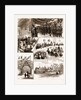 Prince Leopold's Visit To Colchester, And The Installation Of Lord Brooke by Anonymous