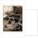 The Gallant Rescue By Mrs. Wright And Miss Jessie Ace Of Men Of The Mumbles Lifeboat, At Mumbles Head by Anonymous