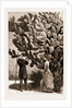 One Way Of Leaving Visiting Cards At The Cape Of Good Hope, South Africa by Anonymous