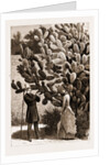 One Way Of Leaving Visiting Cards At The Cape Of Good Hope, South Africa by Anonymous