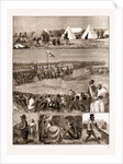 The Restoration Of Cetewayo, The Installation At Intonyanene by Anonymous