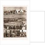 The Restoration Of Cetewayo, The Installation At Intonyanene by Anonymous