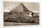 The Recent War In Egypt, 1883 by Anonymous