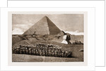The Recent War In Egypt, 1883 by Anonymous