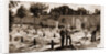 The Recent War In Egypt: Graves Of Coldstream Guards At Alexandria, 1883 by Anonymous