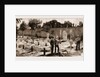 The Recent War In Egypt: Graves Of Coldstream Guards At Alexandria, 1883 by Anonymous