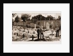 The Recent War In Egypt: Graves Of Coldstream Guards At Alexandria, 1883 by Anonymous