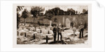 The Recent War In Egypt: Graves Of Coldstream Guards At Alexandria, 1883 by Anonymous