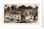 The Recent War In Egypt: Graves Of Coldstream Guards At Alexandria, 1883 by Anonymous