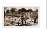 The Recent War In Egypt: Graves Of Coldstream Guards At Alexandria, 1883 by Anonymous