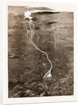 The Proposed Manchester Ship Canal, 1883 by Anonymous