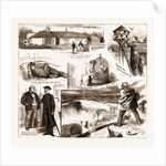 A Tidal Wave That Did Not Come, 1883 by Anonymous