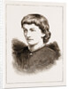 The Attack On Lady Florence Dixie Near Windsor, UK by Anonymous