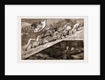 The Volunteer Review At Brighton: The March Down Of The Baggage Guard Of The Artists' Corps (20th Middlesex), 1883 by Anonymous