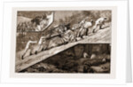 The Volunteer Review At Brighton: The March Down Of The Baggage Guard Of The Artists' Corps (20th Middlesex), 1883 by Anonymous