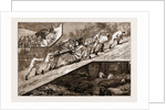The Volunteer Review At Brighton: The March Down Of The Baggage Guard Of The Artists' Corps (20th Middlesex), 1883 by Anonymous