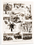 Athletic Sports By Boys Of A Training Ship, 1883 by Anonymous